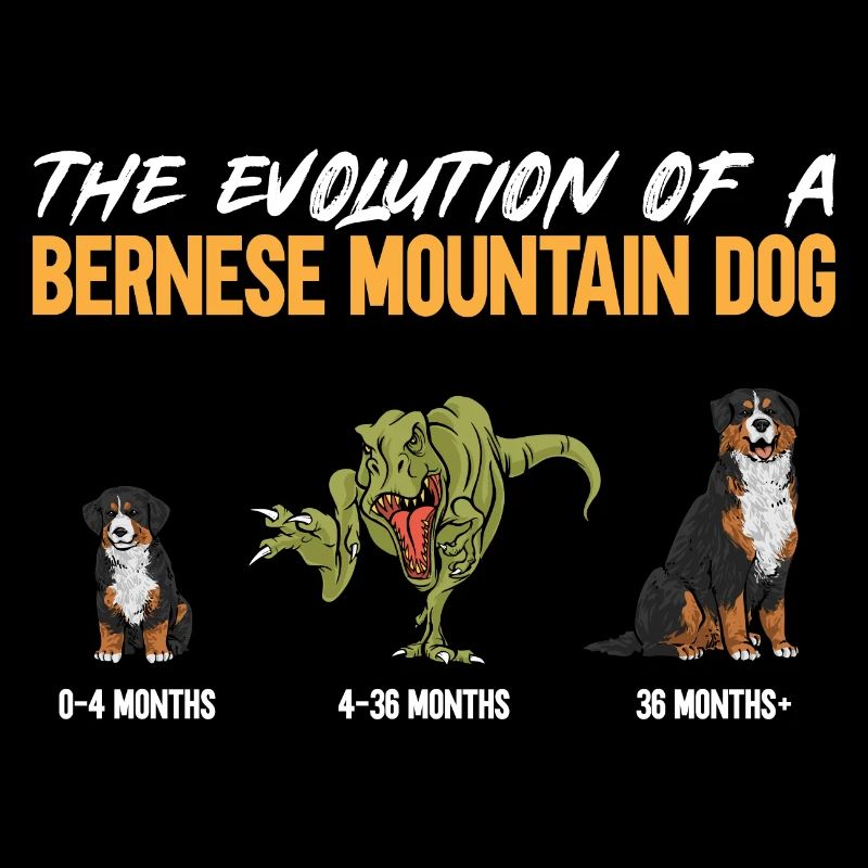 Bernese Mountain Dog