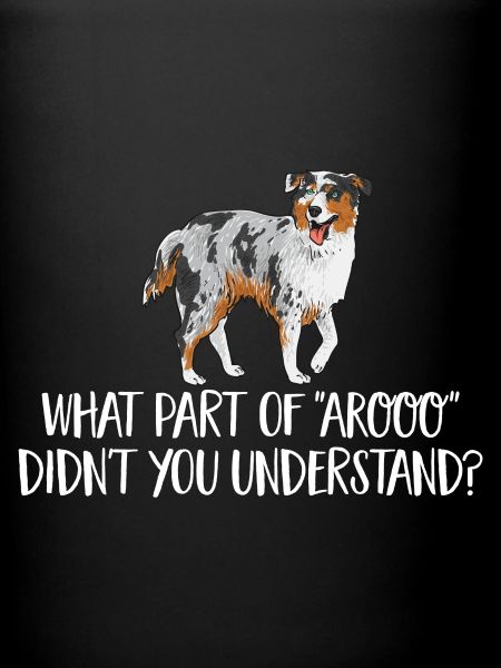 Miniature Australian Shepherd
