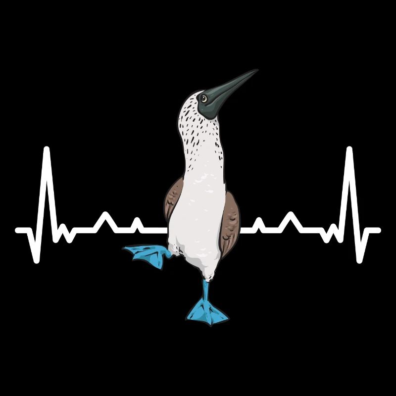 Blue-footed Booby Seabird Blue-footed Booby Seabird