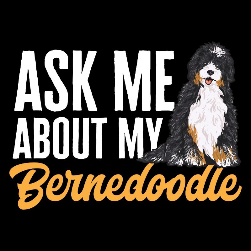 Bernedoodle Dog