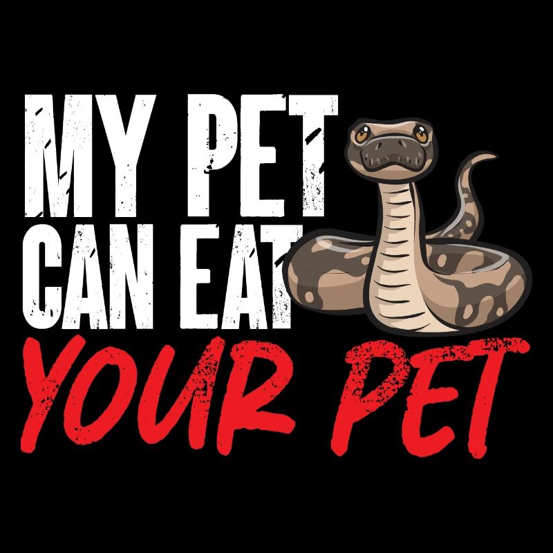 Ball Python Snake King Python