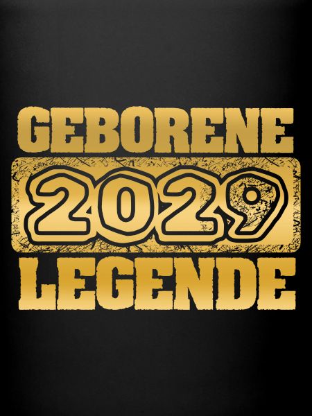 2029