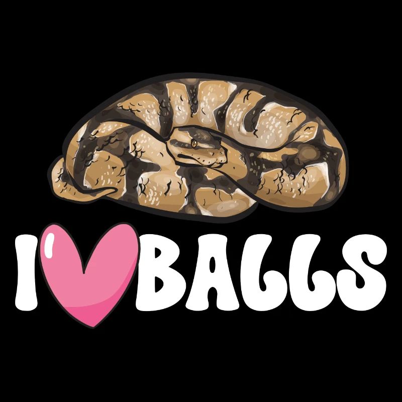 Ball Python Schlange Königspython