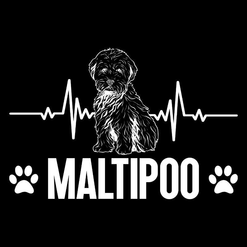 Maltipoo Dog