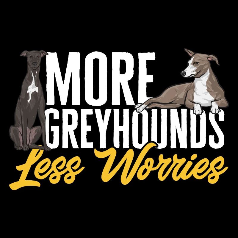 Lévrier italien Greyhound Chiens
