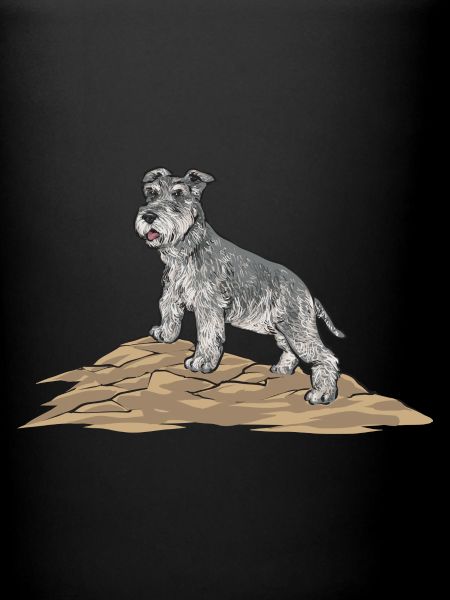 Schnauzer nain Chien Schnauzer