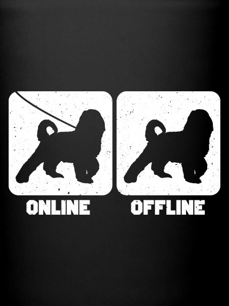 Bernedoodle Chien