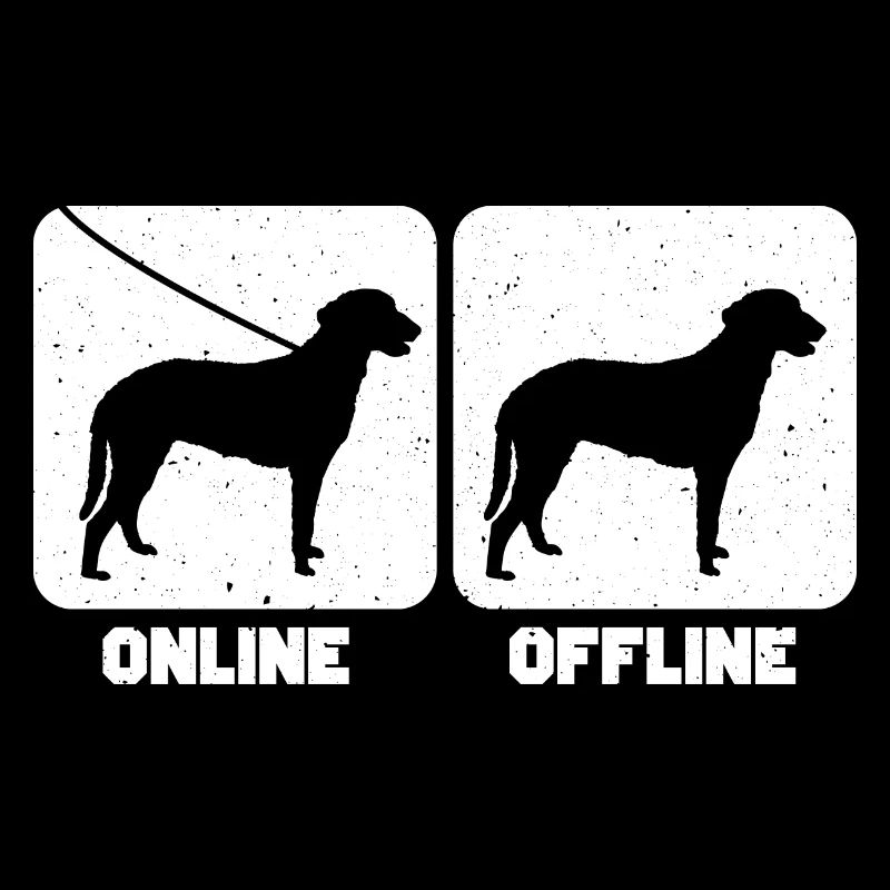 Curly Coated Retriever