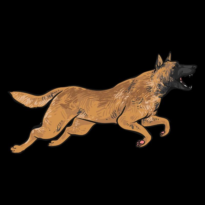 Malinois Belgian Shepherd Mechelaar Dog