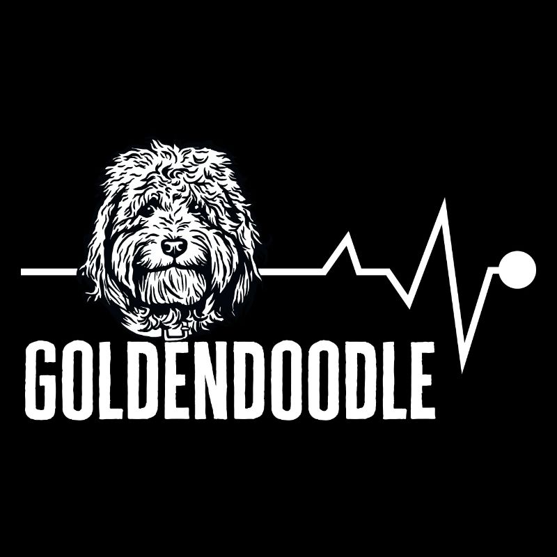 Goldendoodle Doodle Dog