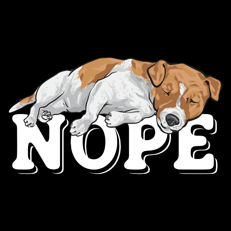 Jack Russell Terrier