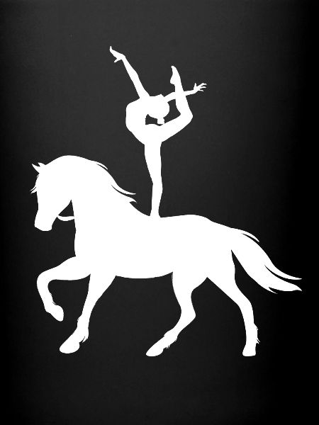 Voltige