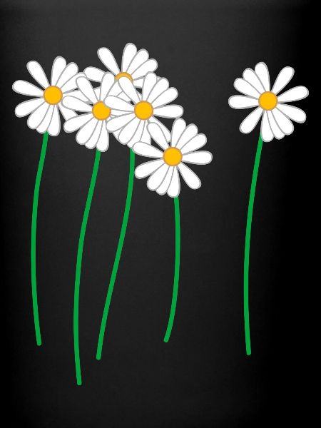 daisies