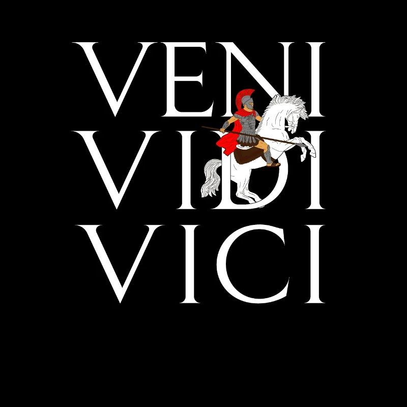 Veni Vidi Vici