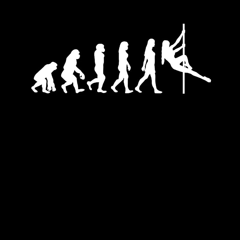 Pole dance evolution gift pole dancer