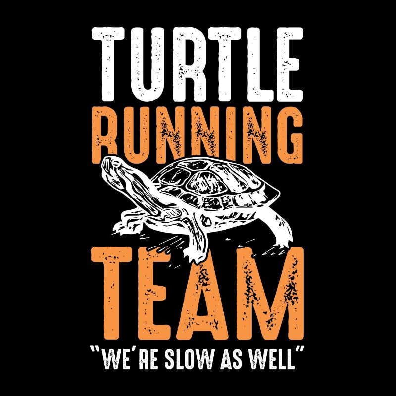 Turtle race