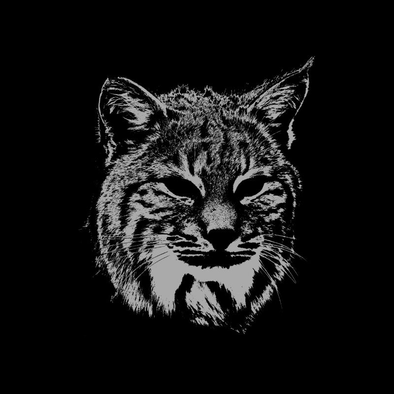 Luchs-Teufel