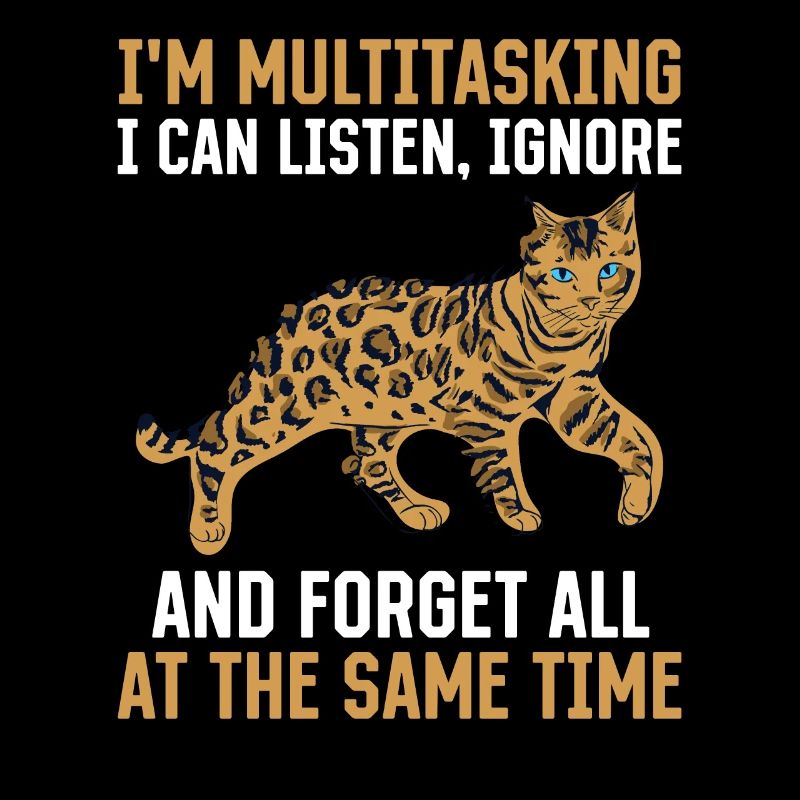 Cat Multitasking Ignore Cat Owners