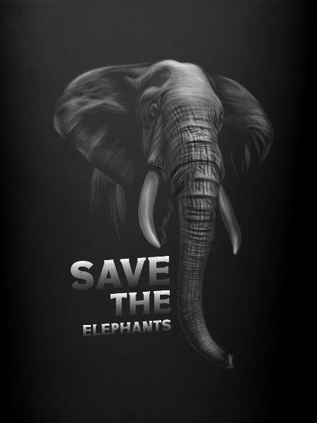 Save the elephants