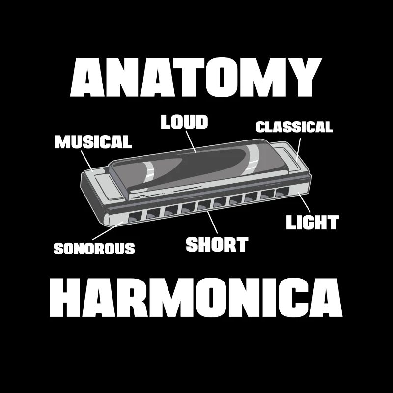 Anatomie Harmoniciste Harmoniciste Harpe à bouche