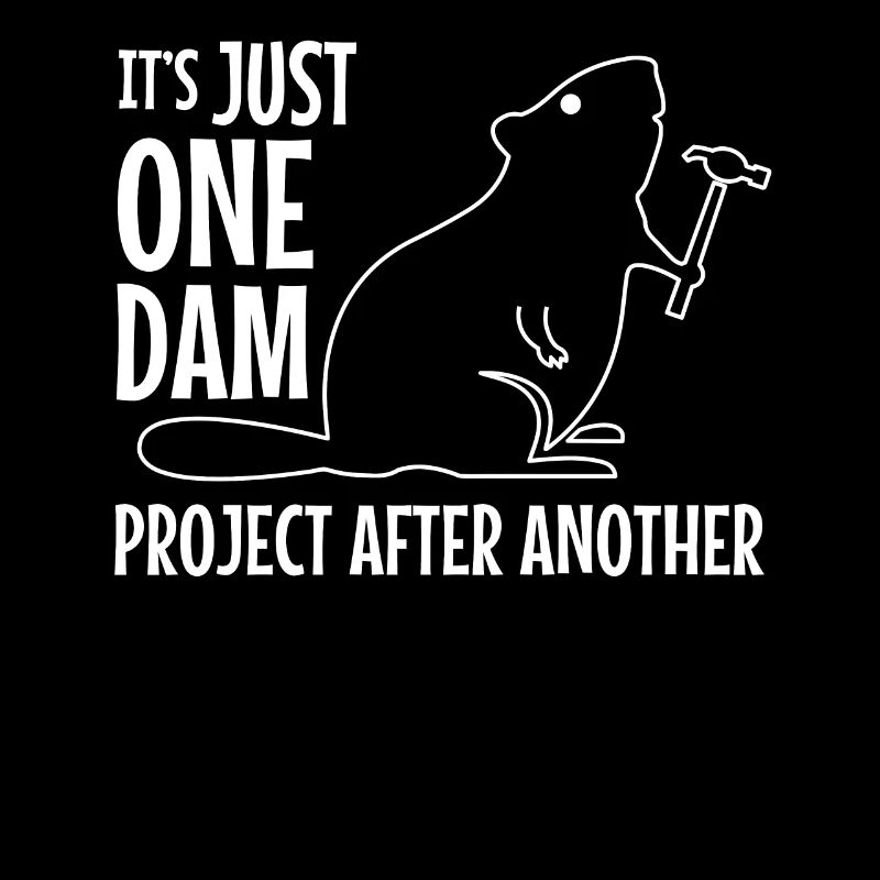 It's Just One Dam Project After Another