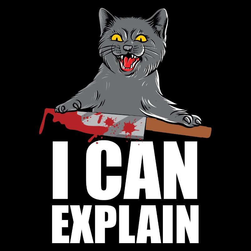 I Can Explain