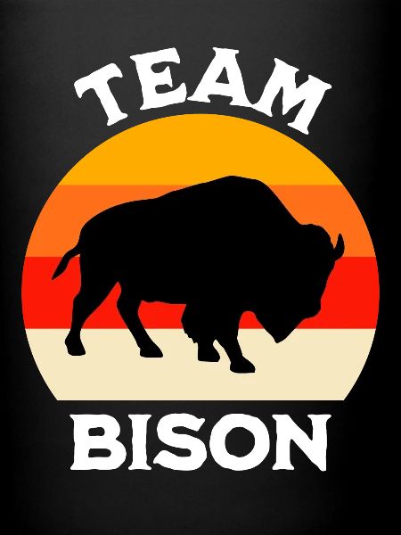 Bison Prairie Bison Dictons
