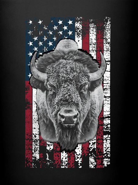 Bison États-Unis