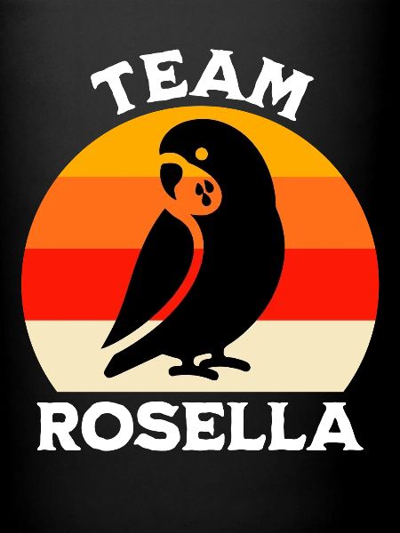 L’équipe Rosella Parakeet