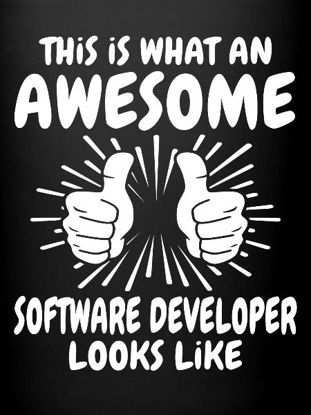 Software Developer