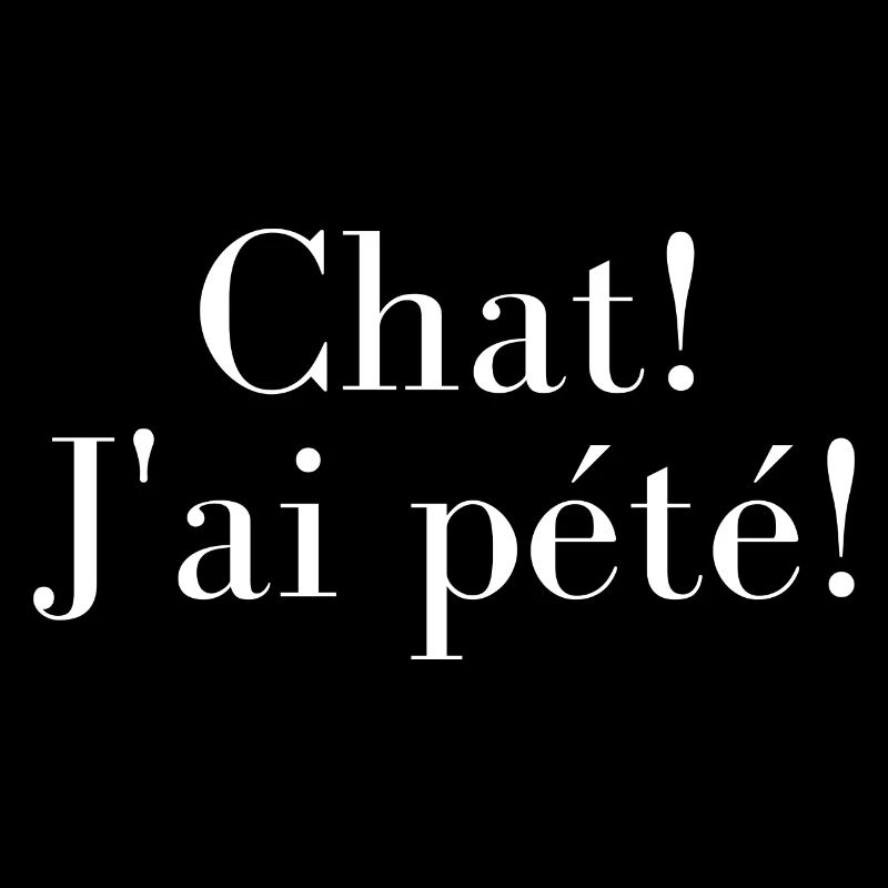 tshirt chat j'ai pété clair 2