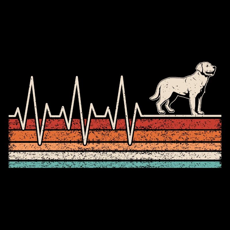 Battement de coeur du Labrador
