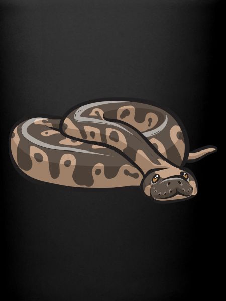 Ball Python Schlange Königspython
