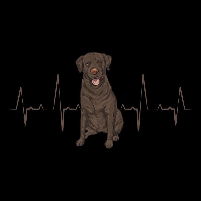 Chien Labrador Retriever brun chocolat