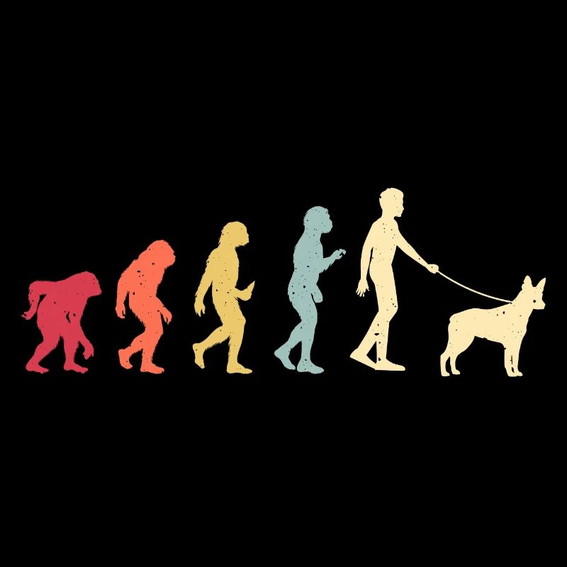 Australian Stumpy Tail Cattle Dog