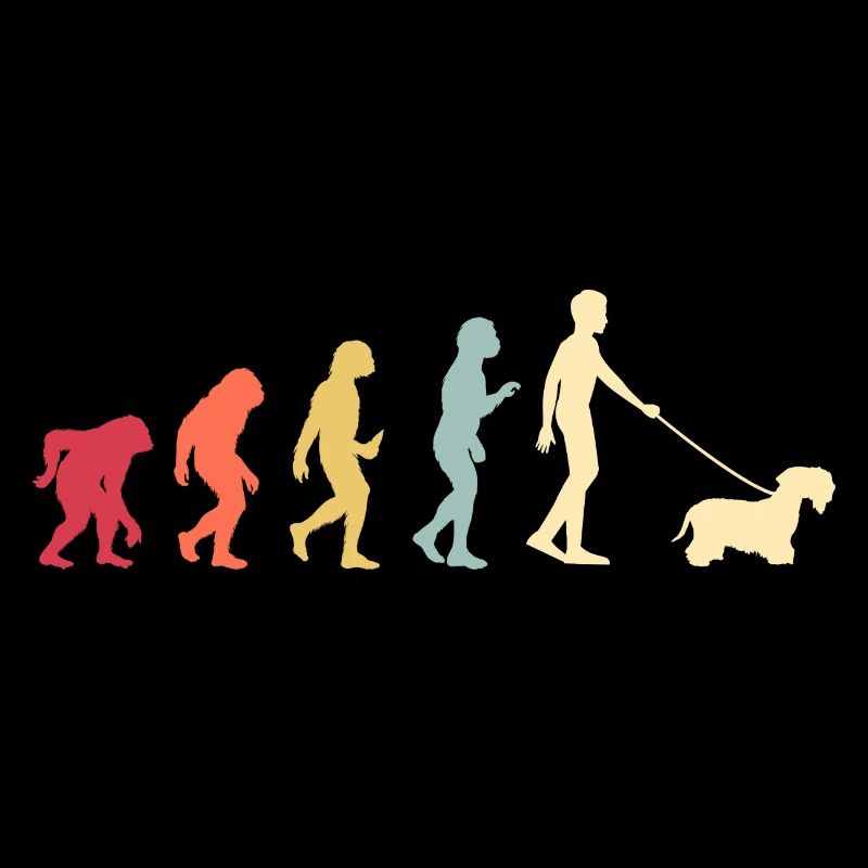 Cesky Terrier Hund - Cesky Terrier