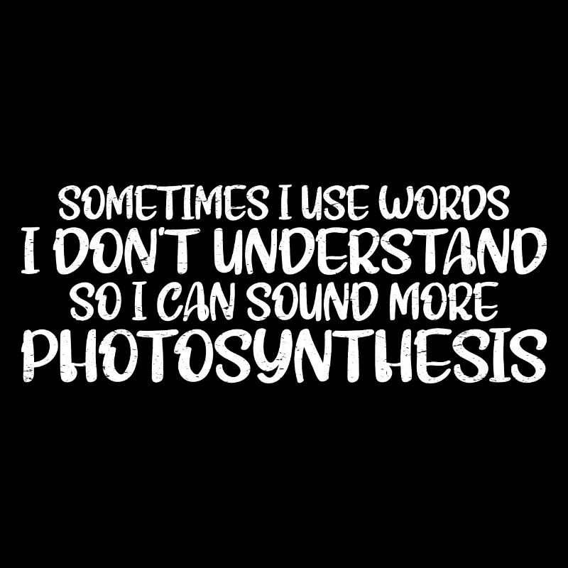 Sometimes I Use Words I Don't Understand 4