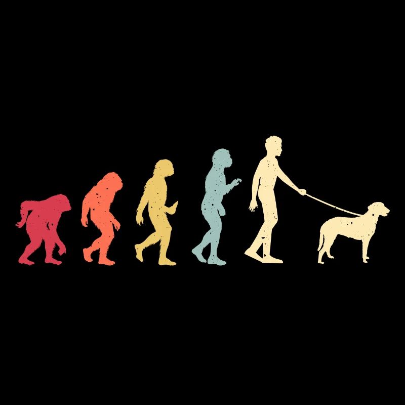 Curly Coated Retriever