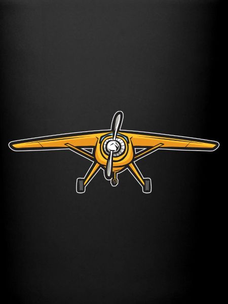 Modèle d’avion télécommandé