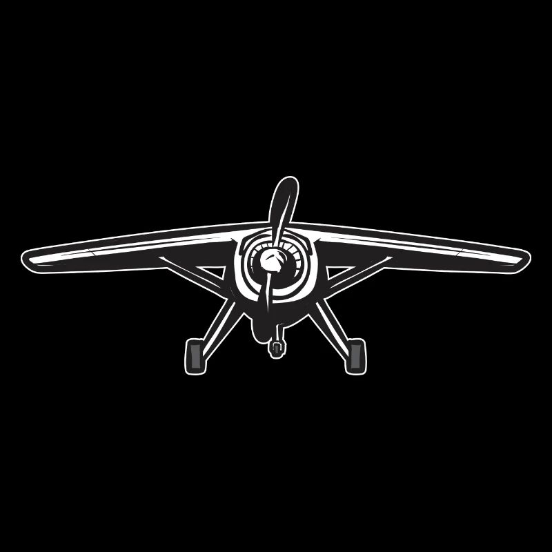 Remote Controlled Airplane Model Airplane