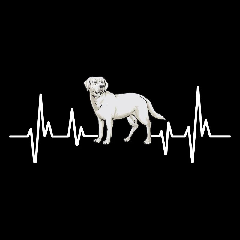Labrador Retriever blanc Labrador Labrador blanc
