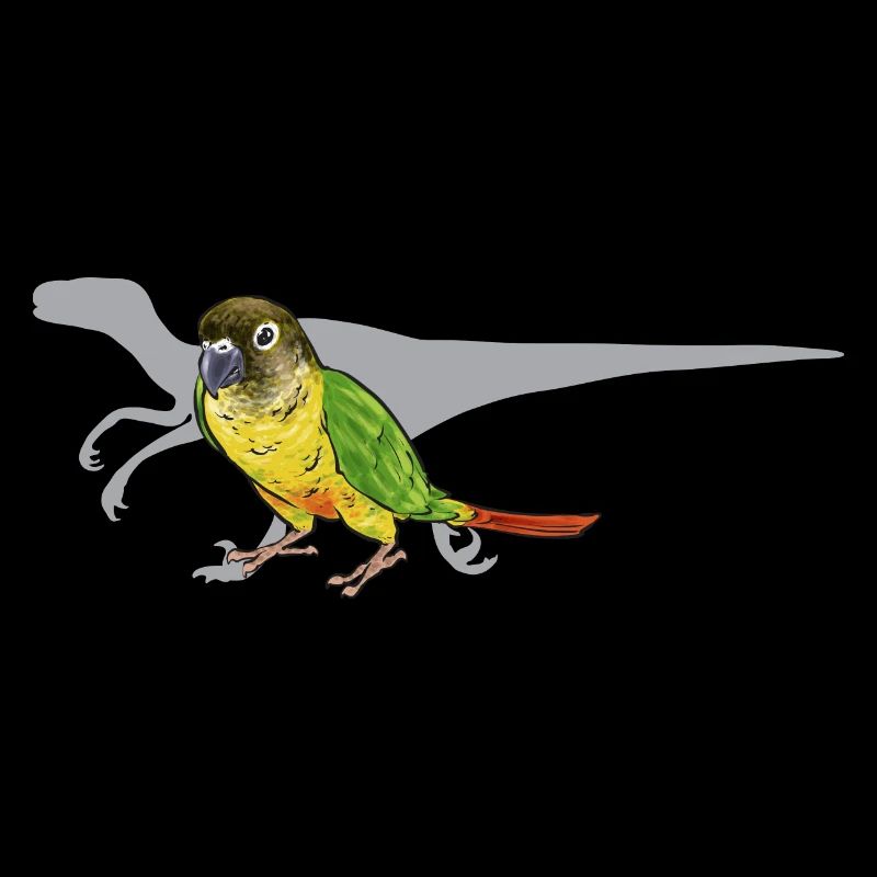 Molinasittich Papagei Vogel Sittich