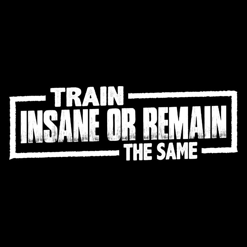 Train Insane Or Remain The Same 17
