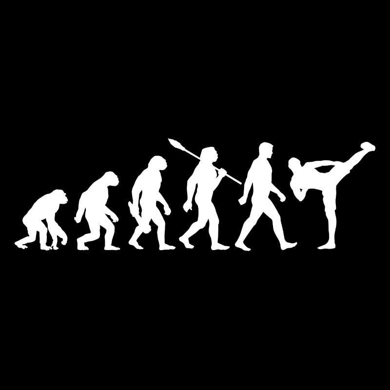 Evolution - MMA - Arts Martiaux