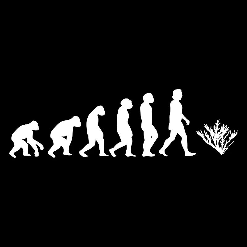 Koralle Meerestier Evolution der Menschen Tiere