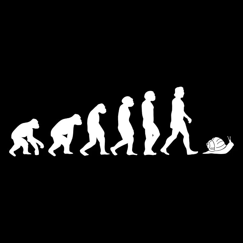 Schnecke Bauchfüßler Evolution der Menschen Tiere