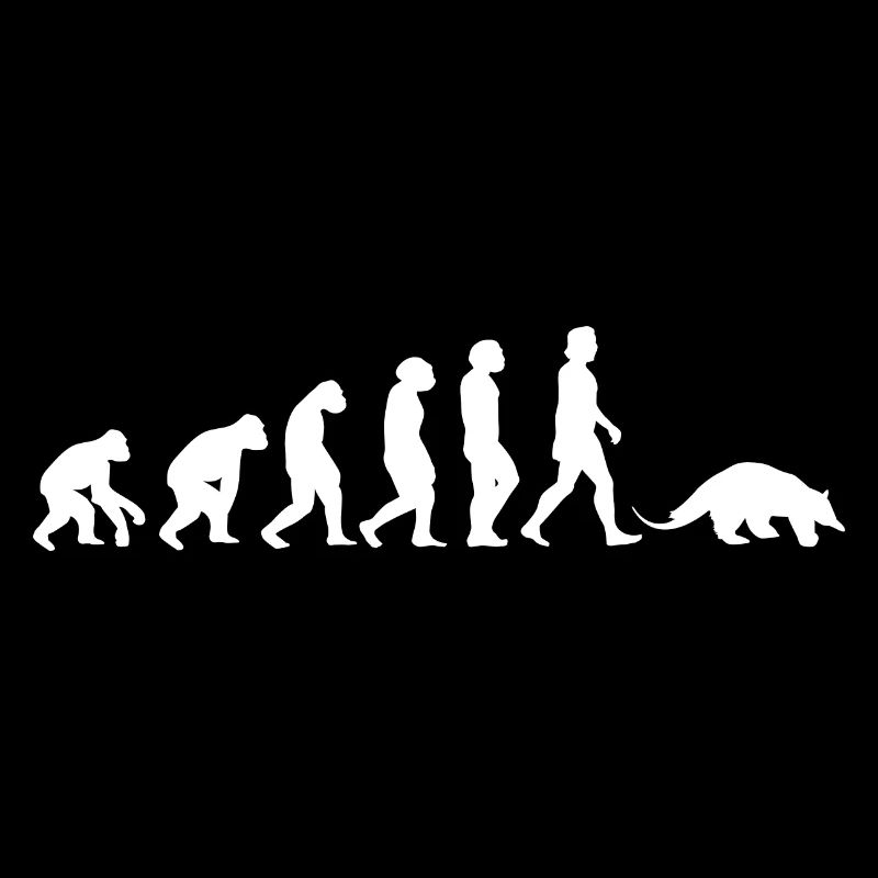 Fourmilier Ours Evolution des humains Animaux