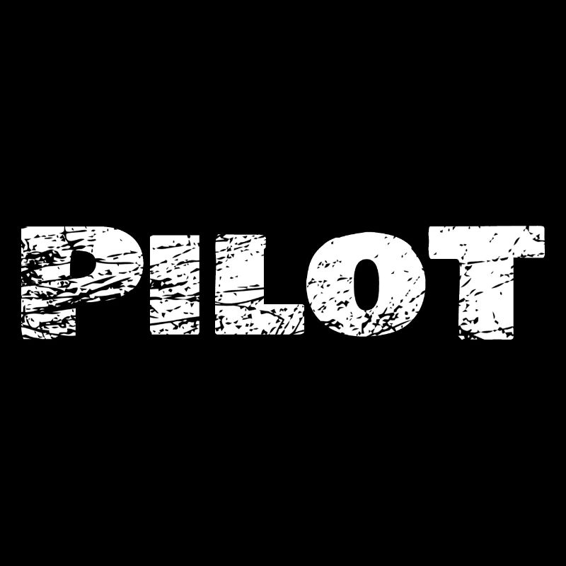 Appointment as a pilot