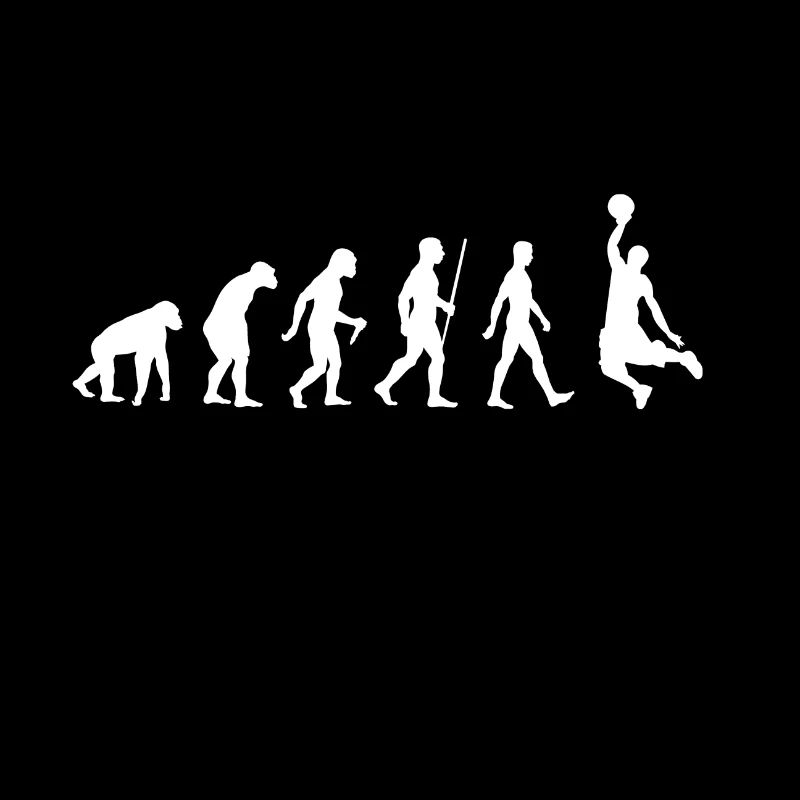 Evolution basketball