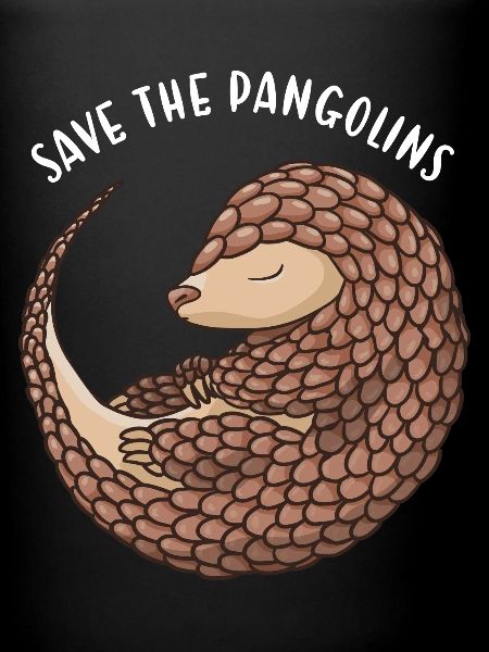 Sauvez les Pangolins Pangolin